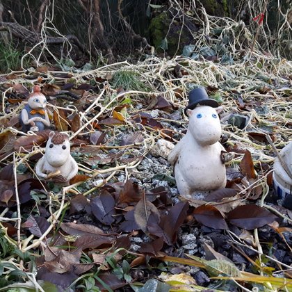 W kolekcji prywatnej