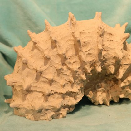 W kolekcji prywatnej