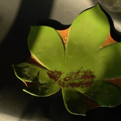 W kolekcji prywatnej